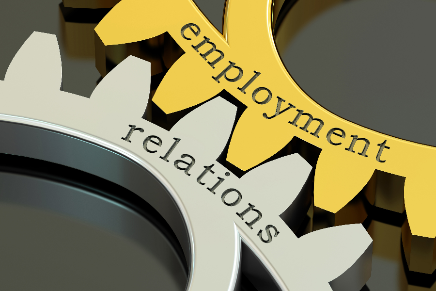  Employee Relations Roles And Responsibilities EU Platform